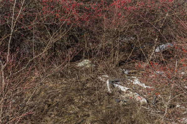 Śmieci Lesie Osób Które Nielegalnie Wyrzucane Śmieci Lasu Koncepcja Człowieka — Zdjęcie stockowe
