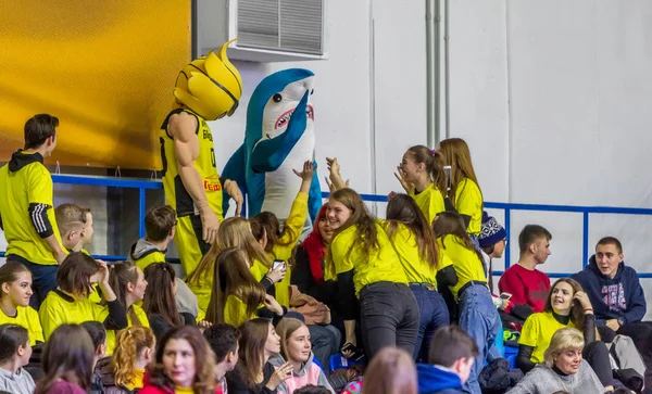 Odessa Ukrayna Hazi 2019 Basketbol Takımı Seyirci Standları Hayranları Duygusal — Stok fotoğraf