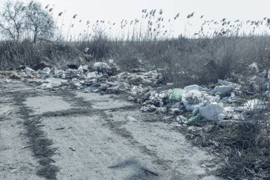 Yolda çöp yığınları. Yol ve patika çöp dolu