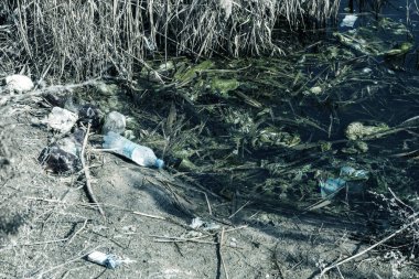 Yolda çöp yığınları. Yol ve patika çöp dolu