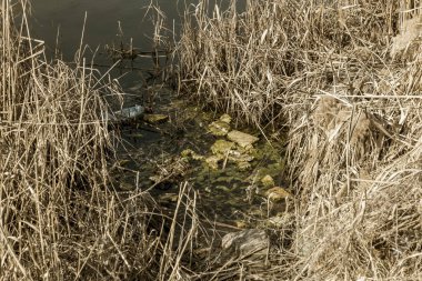 Yolda çöp yığınları. Yol ve patika çöp dolu