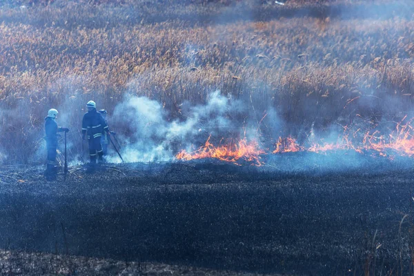 Весняні Пожежі Лісі Палаюча Суха Трава Тростина Вздовж Озера Трава — стокове фото