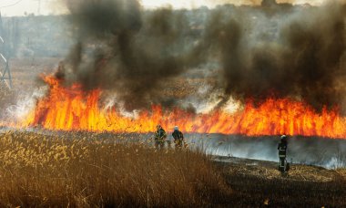 Kızgın orman bahar yangınları. Kuru otları yakıyor, göl boyunca kamış yakıyor. Çayırda çimler yanıyor. Ekolojik felaket. Ateş ve duman tüm yaşamı yok eder. İtfaiyeciler büyük yangını söndürür. Çok duman var.