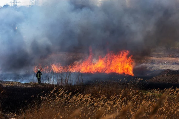 Incendios Forestales Furiosos Quema Hierba Seca Caña Largo Del Lago — Foto de Stock