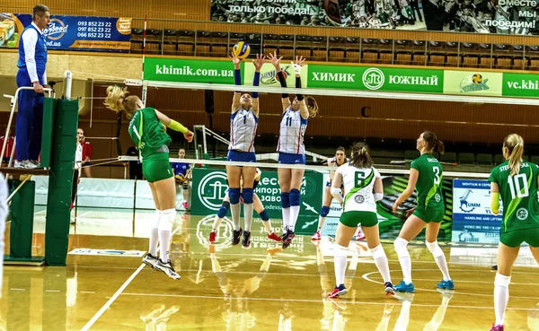 Odessa Ucrania Abril 2019 Copa Voleibol Ucrania Verde Campeones Ucrania — Foto de Stock