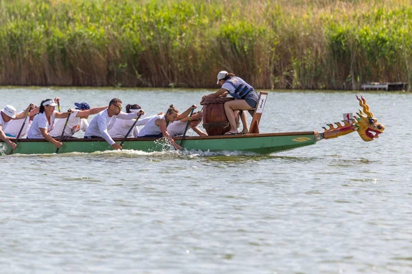 Odessa Ukraine June 2019 Dragon Boat Racing Dragon Boat Festival — Stock Photo, Image