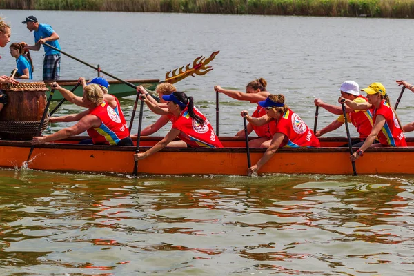 Odessa, Ukrayna - 2 Haziran 2019: Dragon Boat Festivali sırasında Dragon Boat Racing, Dragboat Racing popüler geleneksel Çin su sporudur. Nehirdeki dragboat. Yaz yarışında kürek kürek kürek insanlar kürek