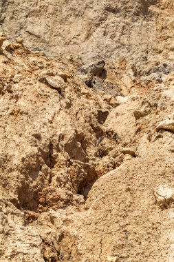 Karadeniz kıyısındaki heyelan bölgesi. Deniz taşı kabuğu. Yağmur mevsiminde doğal afetler bölgesi. Büyük toprak kütleleri tepenin yamacında kayıp evleri yok ediyor. Heyelan - yaşam tehdidi