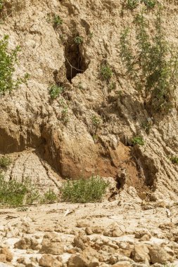 Karadeniz kıyısındaki heyelan bölgesi. Deniz taşı kabuğu. Yağmur mevsiminde doğal afetler bölgesi. Büyük toprak kütleleri tepenin yamacında kayıp evleri yok ediyor. Heyelan - yaşam tehdidi