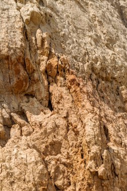 Karadeniz kıyısındaki heyelan bölgesi. Deniz taşı kabuğu. Yağmur mevsiminde doğal afetler bölgesi. Büyük toprak kütleleri tepenin yamacında kayıp evleri yok ediyor. Heyelan - yaşam tehdidi