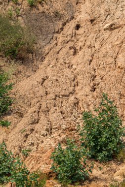 Karadeniz kıyısındaki heyelan bölgesi. Deniz taşı kabuğu. Yağmur mevsiminde doğal afetler bölgesi. Büyük toprak kütleleri tepenin yamacında kayıp evleri yok ediyor. Heyelan - yaşam tehdidi