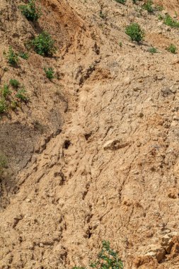 Karadeniz kıyısındaki heyelan bölgesi. Deniz taşı kabuğu. Yağmur mevsiminde doğal afetler bölgesi. Büyük toprak kütleleri tepenin yamacında kayıp evleri yok ediyor. Heyelan - yaşam tehdidi