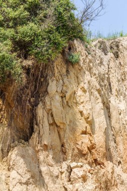 Karadeniz kıyısındaki heyelan bölgesi. Deniz taşı kabuğu. Yağmur mevsiminde doğal afetler bölgesi. Büyük toprak kütleleri tepenin yamacında kayıp evleri yok ediyor. Heyelan - yaşam tehdidi