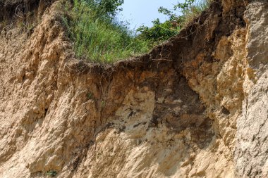 Karadeniz kıyısındaki heyelan bölgesi. Deniz taşı kabuğu. Yağmur mevsiminde doğal afetler bölgesi. Büyük toprak kütleleri tepenin yamacında kayıp evleri yok ediyor. Heyelan - yaşam tehdidi