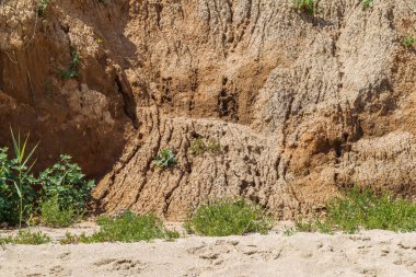 Karadeniz kıyısındaki heyelan bölgesi. Deniz taşı kabuğu. Yağmur mevsiminde doğal afetler bölgesi. Büyük toprak kütleleri tepenin yamacında kayıp evleri yok ediyor. Heyelan - yaşam tehdidi