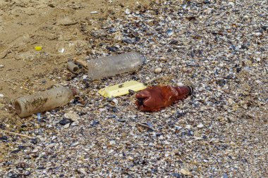 Kavramsal: felaket, çevresel sorun-plastik çöp. Büyük şehrin plajına çöp dökülmüş. Boş kullanılmış kirli plastik şişeler. Karanlık deniz, Karadeniz 'in kumlu kıyısı. Çevre kirliliği