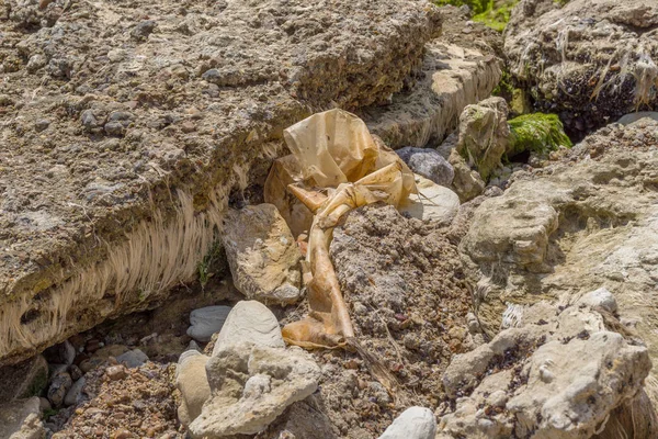Εννοιολογική Καταστροφή Περιβαλλοντικό Πρόβλημα Πλαστικά Σκουπίδια Χύθηκε Σκουπίδια Στην Παραλία — Φωτογραφία Αρχείου