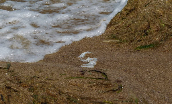 環境問題 プラスチックゴミ 大都会の浜辺にゴミをこぼした 空の使用汚れたペットボトル 汚れた海 黒海の砂浜環境汚染 — ストック写真