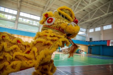 Odessa, Ukrayna, 19 Mayıs 2019: Aslan Dans Festivali. Ejderha geleneksel dans, çocuklar arasında rugby rekabet destekleyen takımın performansı sırasında spor salonunda aslan