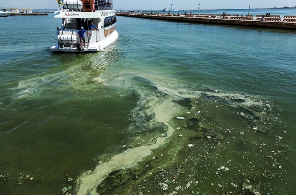 Одеса Україна Червня 2019 Брудна Хвиля Старими Брудними Водоростями Брудні — стокове фото