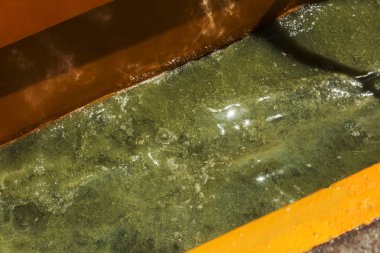 Eski kirli yosunlarla kirli dalga. Limanda kirli yosun deniz sörfü hatları. Kirli deniz, çevre kirliliği sorunu. Deniz dalgasındaki yosunlar. Zehirli çürüyen yosunlar. Ekolojik katasrofi