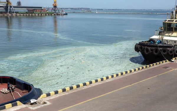 Odessa Ukrayna Haziran 2019 Eski Kirli Yosun Ile Kirli Dalga — Stok fotoğraf