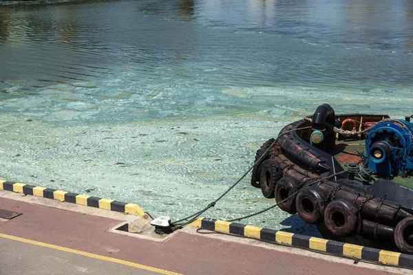 Odessa Ukraine Junho 2019 Onda Suja Com Velhas Algas Sujas — Fotografia de Stock