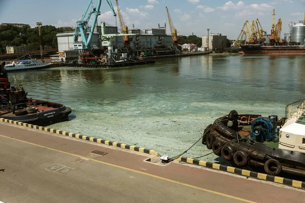 Odessa Ukraine Junho 2019 Onda Suja Com Velhas Algas Sujas — Fotografia de Stock