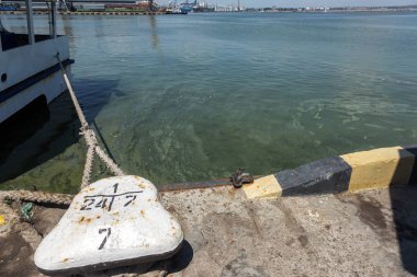 Eski kirli yosunlarla kirli dalga. Limanda kirli yosun deniz sörfü hatları. Kirli deniz, çevre kirliliği sorunu. Deniz dalgasındaki yosunlar. Zehirli çürüyen yosunlar. Ekolojik katasrofi