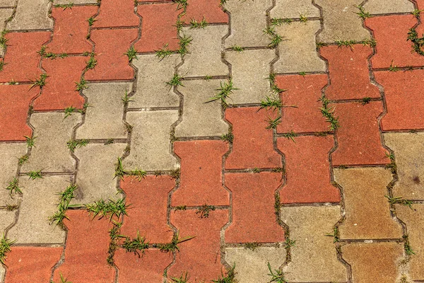 Sfondo stradale di vecchia pavimentazione in pietra. Sfondo di vecchi ciottoli — Foto Stock