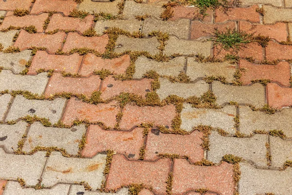 Straßenhintergrund aus alten Pflastersteinen. Hintergrund des alten Kopfsteinpflasters — Stockfoto
