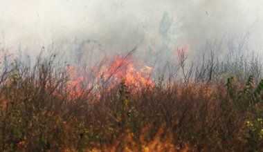 Bozkırda güçlü duman. Orman ve bozkır yangınları şiddetli kuraklık sırasında tarlaları ve bozkırları yok eder. Ateş, güçlü duman. Sıcak ateşin gerginliği nedeniyle bulanıklaştırma odağı. Felaket, hasar, evleriçin risk
