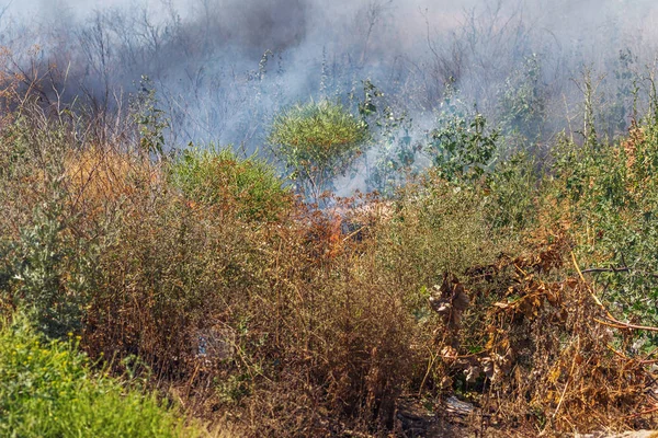 Δυνατός Καπνός Στη Στέπα Δασικές Και Στέπες Πυρκαγιές Καταστρέφουν Χωράφια — Φωτογραφία Αρχείου