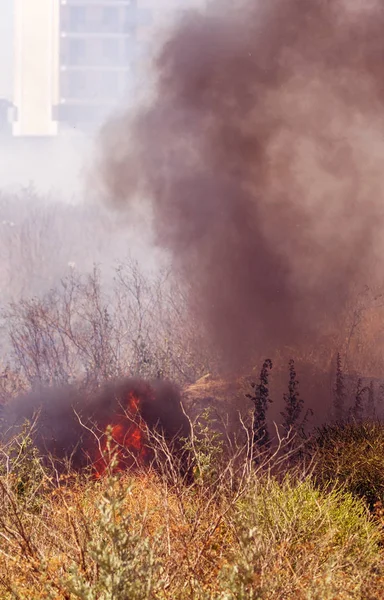 Strong Smoke Steppe Forest Steppe Fires Destroy Fields Steppes Severe — Stock Photo, Image