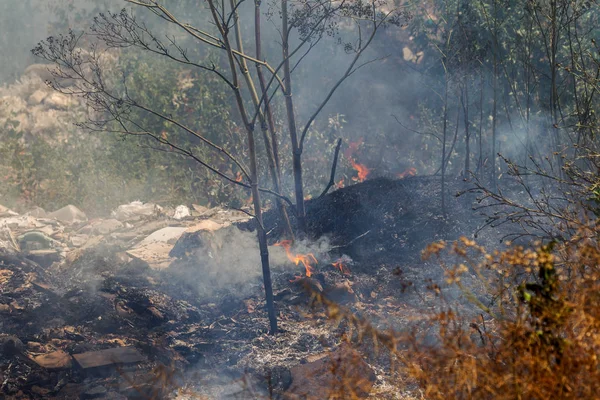 Сильный Дым Степи Лесные Степные Пожары Уничтожают Поля Степи Время — стоковое фото