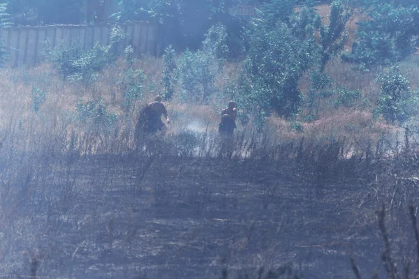 Strong Smoke Steppe Forest Steppe Fires Destroy Fields Steppes Severe — Stock Photo, Image