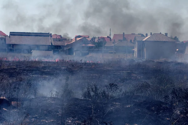 Strong Smoke Steppe Forest Steppe Fires Destroy Fields Steppes Severe — Stock Photo, Image