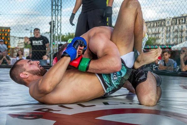 Odessa Ukraine June 2019 Fighters Mma Boxers Fighting Rules Cage — Stock Photo, Image