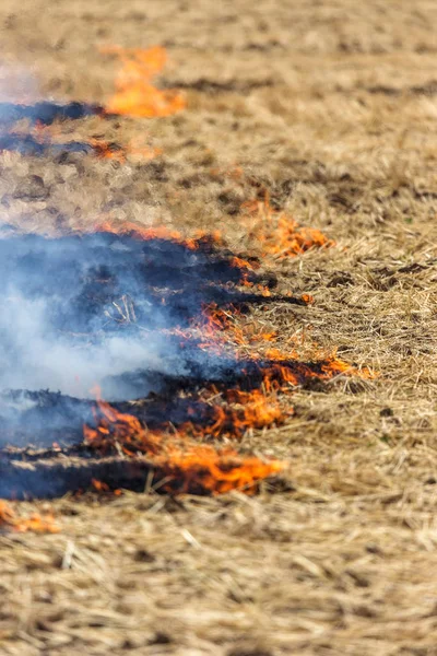 Los Incendios Forestales Estepas Secan Completamente Destruyendo Los Campos Estepas — Foto de Stock