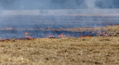 Orman ve bozkır yangınlar kuru tamamen şiddetli bir kuraklık sırasında bozkırlarında ve alanları yok. Felaket düzenli hasar doğa ve bölge ekonomisi için getiriyor. Işık alan buğday hasat ile