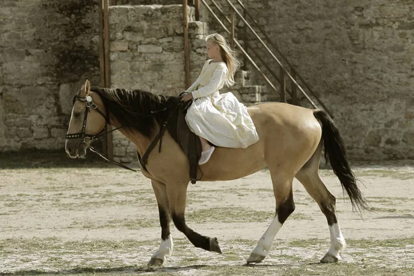 Odessa Oekraïne Juli 2019 Paardensport Traditionele Competities Ridder Festival Fort — Stockfoto