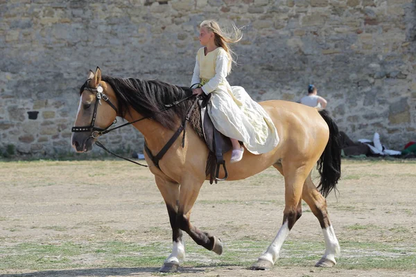 Odessa Oekraïne Juli 2019 Paardensport Traditionele Competities Ridder Festival Fort — Stockfoto