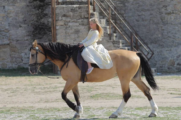 Odessa Ukraine July 2019 Equestrian Traditional Competitions Knight Festival Fortress — Stock Photo, Image