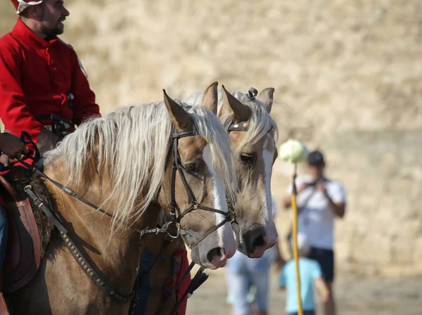 Odessa Ukraina Lipca 2019 Jeździectwo Tradycyjne Konkursy Festiwalu Rycerskiego Twierdzy — Zdjęcie stockowe