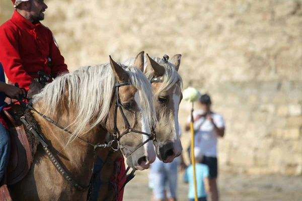 Odessa Ukrayna Temmuz 2019 Akkerman Belgorod Dinyester Kalesindeki Şövalye Festivalinde — Stok fotoğraf