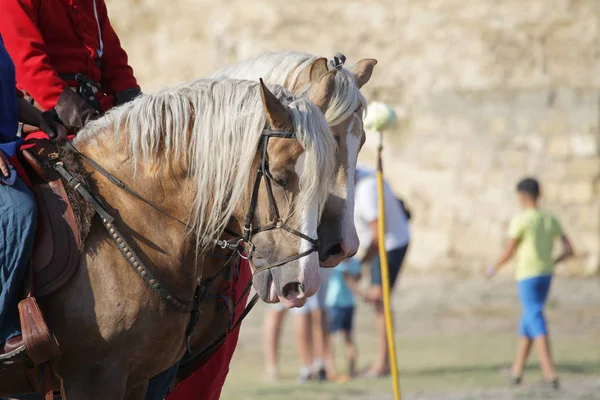 Odessa Ukrayna Temmuz 2019 Akkerman Belgorod Dinyester Kalesindeki Şövalye Festivalinde — Stok fotoğraf