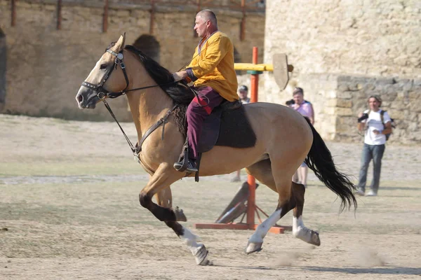 Odessa Ucraina Luglio 2019 Concorsi Equestri Tradizionali Festival Dei Cavalieri — Foto Stock