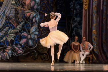 Odessa, Ukrayna-July22, 2019: bale. Odessa Opera Tiyatrosu sahnede klasik bale. Sahne dansı 'nda bale dansçıları Swan Lake 'in klasik eserleri. Tiyatro sahnesinde sanatsal top dansı formu