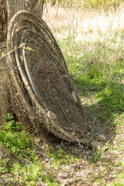 Eski ip balık ağı açık havada kurutulur. Havalandırma veya üst balıkçılık için bir balık ağıdır. Fishnet