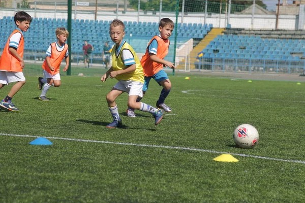 Odessa, Ukrayna - 7 Eylül 2019: Antrenmanda küçük çocuklar futbol oynuyor. Genç çocuklar oyun alanında futbol uyguluyorlar. Çocuklar yeşil futsal sahada futbol oynuyor